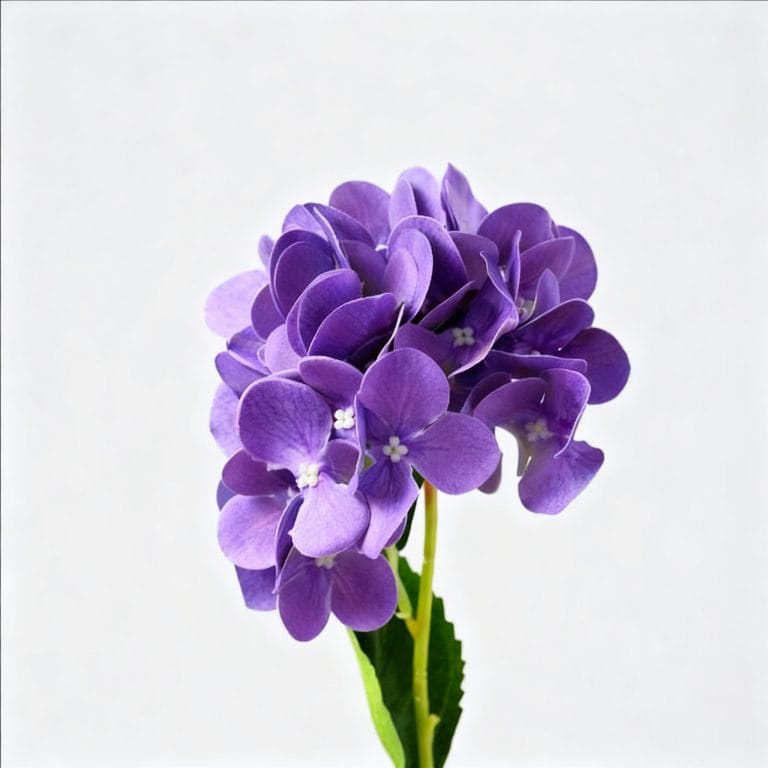 Purple Hydrangea Artificial