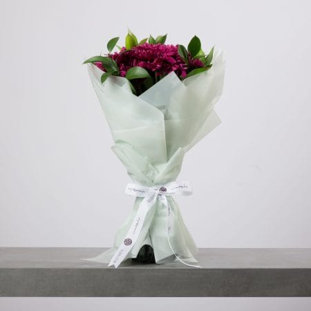Deep magenta chrysanthemum bouquet wrapped in mint-green paper