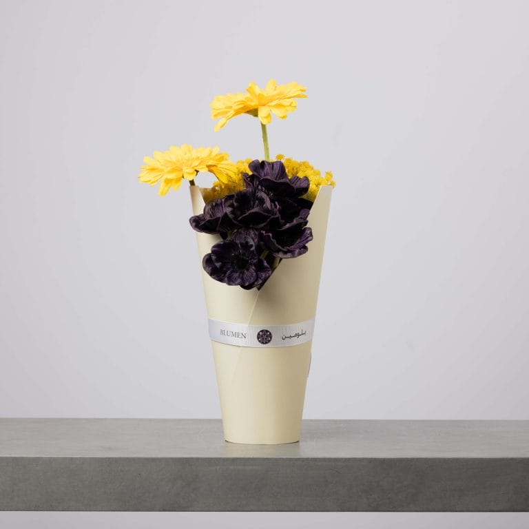 Ivory Cone Blumen Box