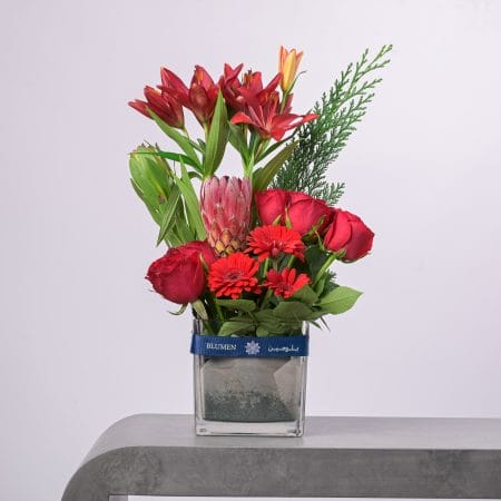 Elegant red flower arrangement with lilies, protea, gerberas, and roses in a BLUMEN square vase.