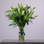 Elegant arrangement of unopened oriental lilies with lush green foliage in a tall BLUMEN glass vase.