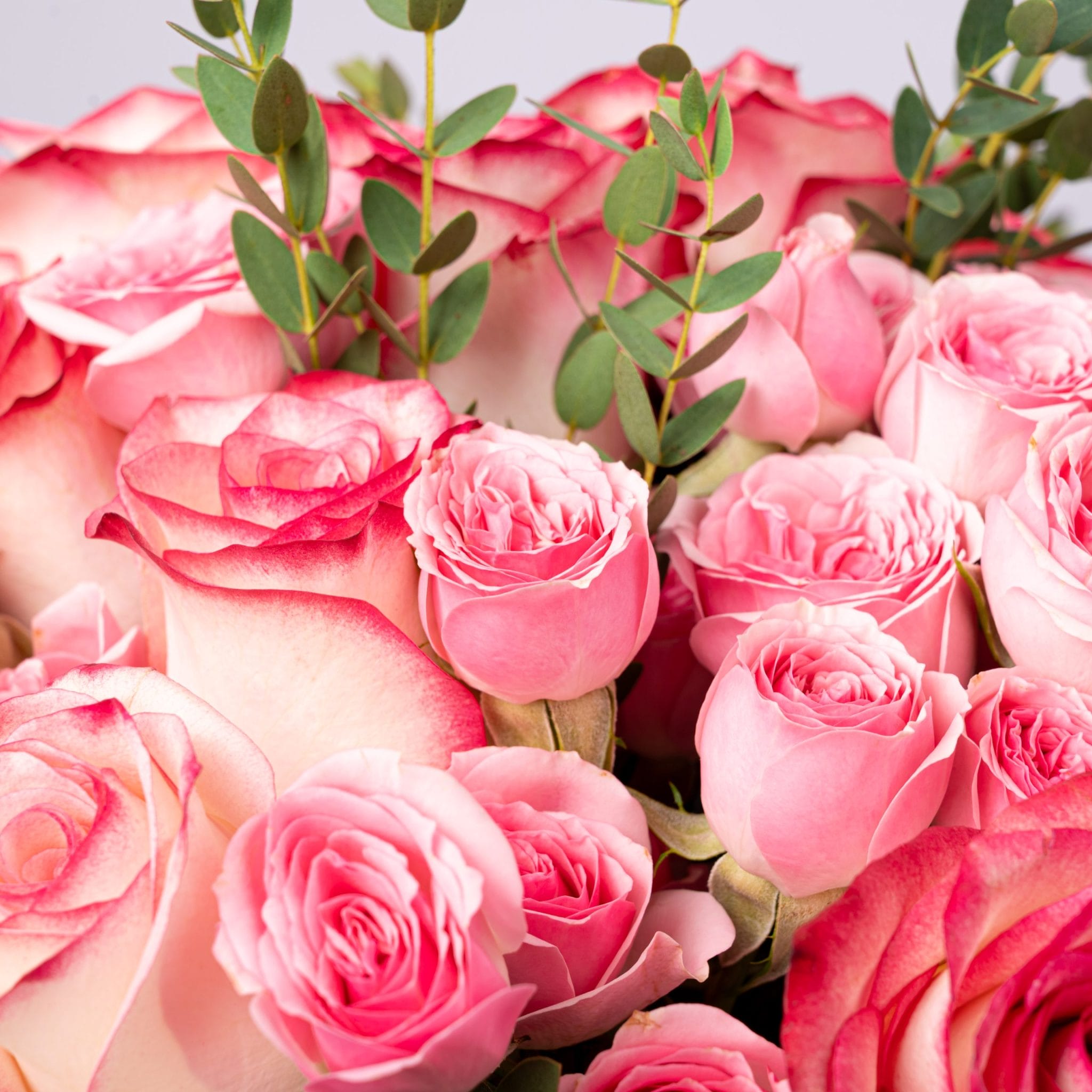 The Pink Rose Vase - Image 3