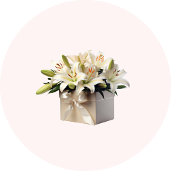 كولكشن الصيف