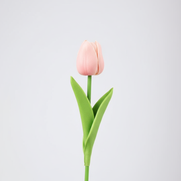 Pink Tulip