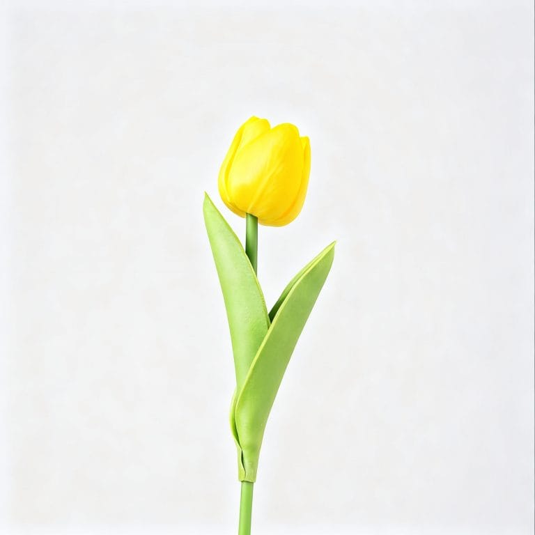 Yellow Tulip