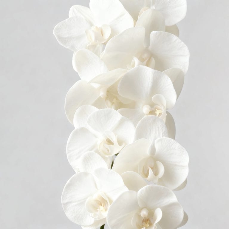 White Cymbidium Artificial