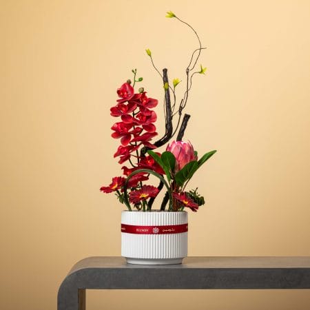 وعاء أبيض عصري مخطط مزين بشريط أحمر، يحتوي على أوركيد أحمر وزهور جربيرا حمراء وبروتيا وردية مع خضار طبيعي وأغصان فنية، بتنسيق من بلومن أمام خلفية بيج.