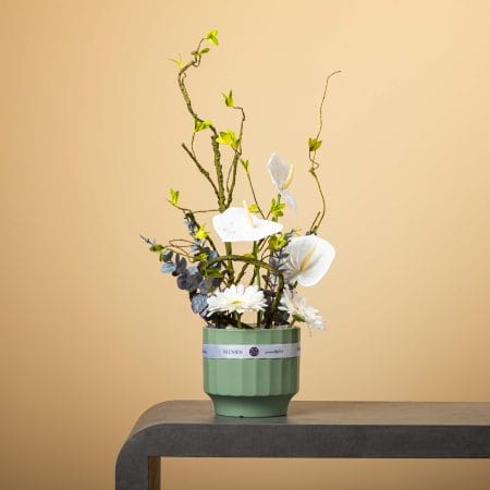 تنسيق زهري بأزهار أنثوريوم بيضاء وجرسيم بيضاء مع فروع خضراء ملتوية وأوراق أوكاليبتوس في أصيص أخضر فاتح على خلفية بيج