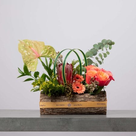 علبة مستطيلة مغطاة بقشرة الشجر ومزينة بشريط أصفر من بلومن، منسقة بورود برتقالية مائلة للزهري وجربيرا برتقالية وأنثوريوم أخضر وبروتيا وأوكالبتوس وأقواس من الأوراق العشبية مع خضار متنوع أمام خلفية رمادية فاتحة.