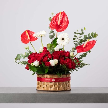 سلة دائرية من الخوص مزينة بشريط أحمر من بلومن، مليئة بورود حمراء وبيضاء، وجربيرا بيضاء، وأنثوريوم أحمر، مع أوكالبتوس وخضار كثيف أمام خلفية رمادية فاتحة.