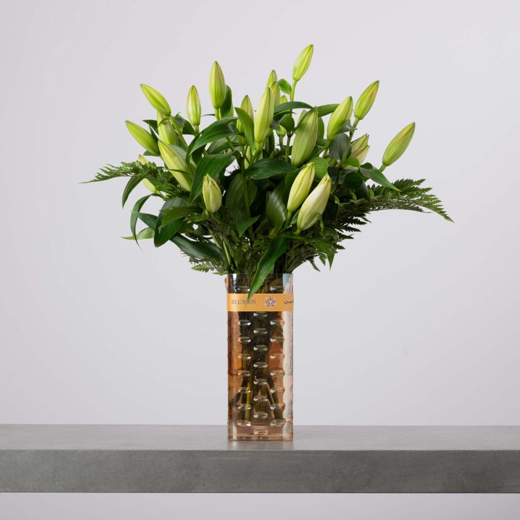 مزهرية زجاجية مستطيلة طويلة تحتوي على ماء ذهبي دافئ مع شريط بلومن، مليئة ببراعم زنابق خضراء مغلقة مع أوراق خضراء داكنة وسعف سرخس أمام خلفية رمادية فاتحة.