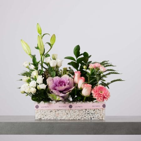 مزهرية مستطيلة شفافة ممتلئة بالحصى البيضاء ومزينة بشريط وردي من بلومن، منسقة بزهور بيضاء وبراعم زنبق خضراء، وكرنب زيني بنفسجي، وتوليب وردي، وجربيرا وردية وخضار كثيف أمام خلفية رمادية فاتحة.