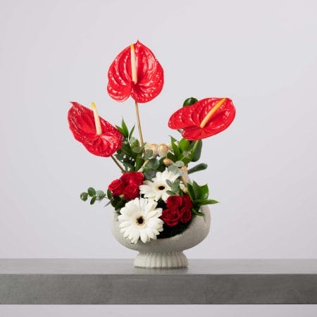 مزهرية دائرية على قاعدة تحتوي على ثلاث زهور أنثوريوم حمراء طويلة مع عناقيد من الورود الحمراء وجربيرا بيضاء وخضار طبيعي بتنسيق مروحي جريء أمام خلفية رمادية فاتحة.