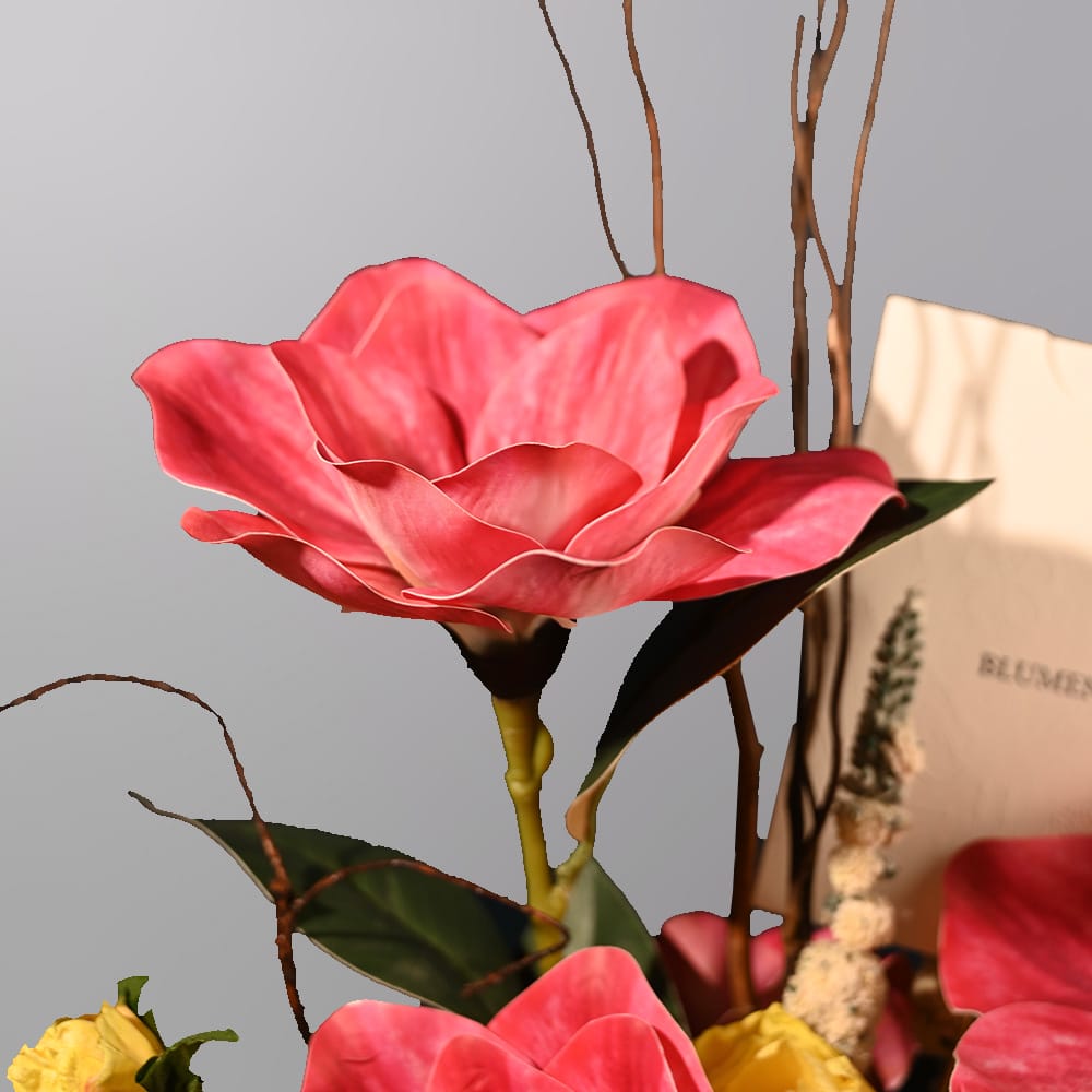 سول اند سول شاي معطر اسود و توت مع ذا بيتشي ديلايت - الصورة 2