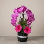 A luxury floral arrangement featuring cascading pink phalaenopsis orchids and pink gerbera daisies arranged in a circular halo design within a black ceramic container.