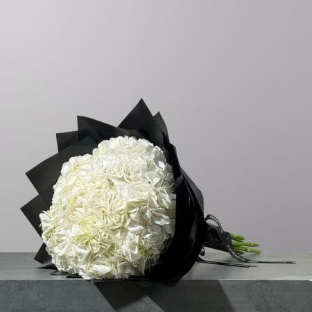 A hand-tied bouquet featuring a lush white hydrangea, elegantly wrapped in premium black floral paper and finished with a signature ribbon.