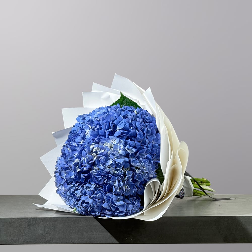 A hand-tied bouquet featuring lush blue hydrangeas, elegantly wrapped in premium white floral paper and finished with a signature ribbon.