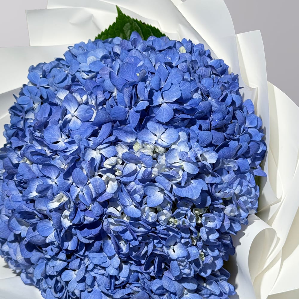 The Sapphire Cloud - Image 3