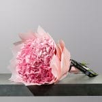 A luxurious bouquet of soft pink hydrangeas wrapped in elegant blush pink paper.