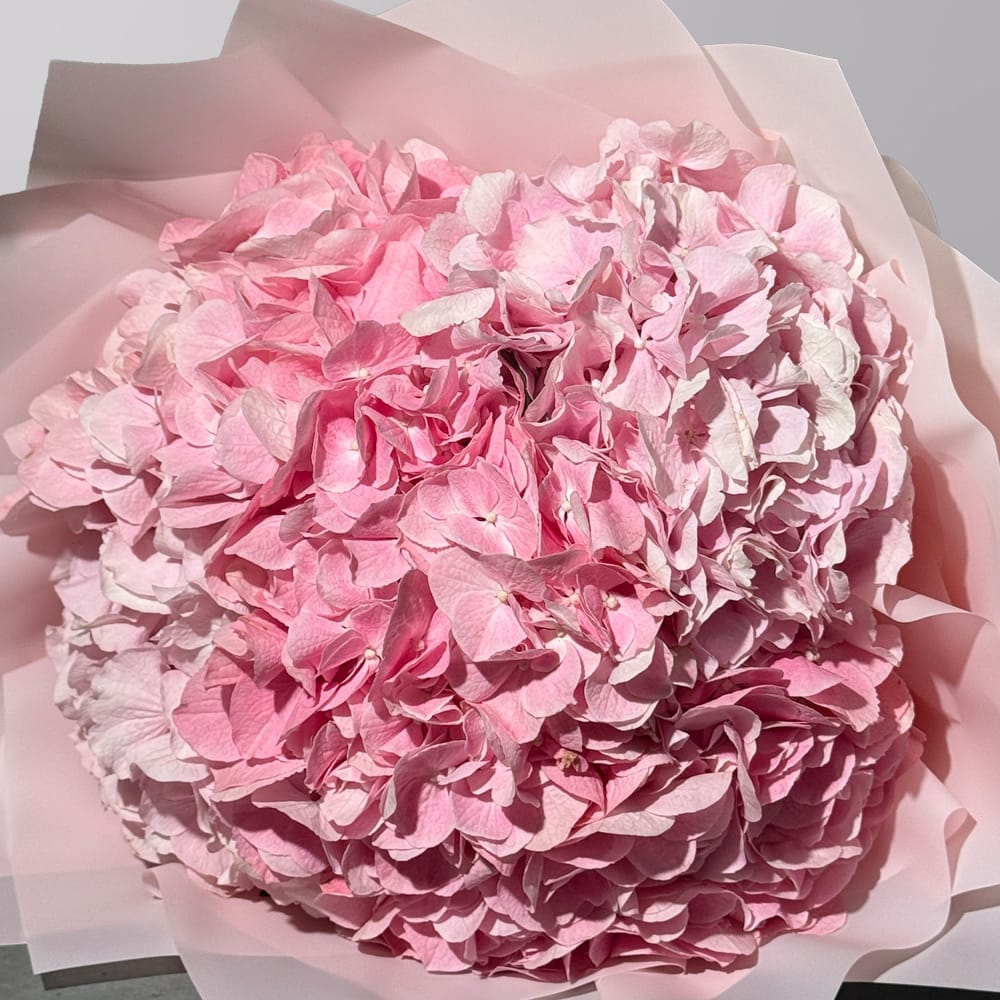 The Rose Étoile - Image 2