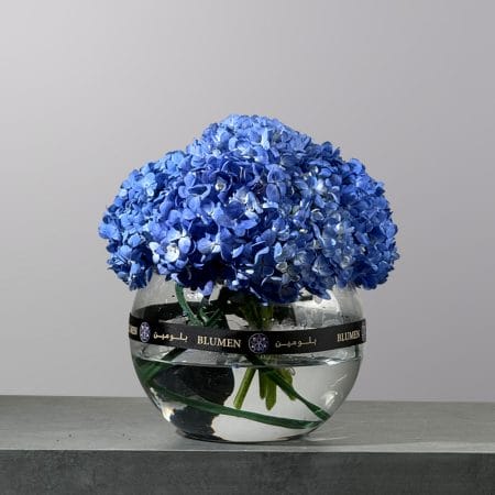 Blue hydrangea arrangement displayed in a clear glass vase with fresh green stems.