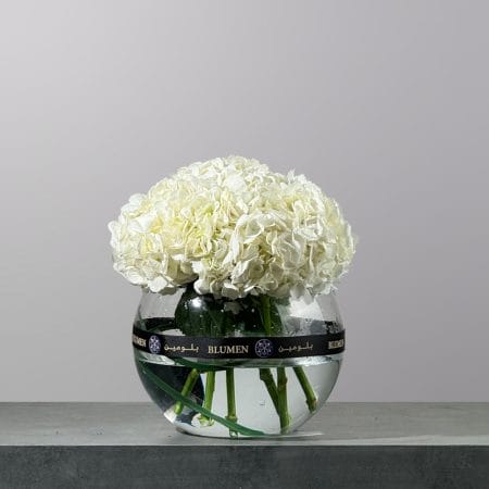 The Ivory Halo featuring fresh white hydrangeas arranged in a round clear glass bowl filled with water.